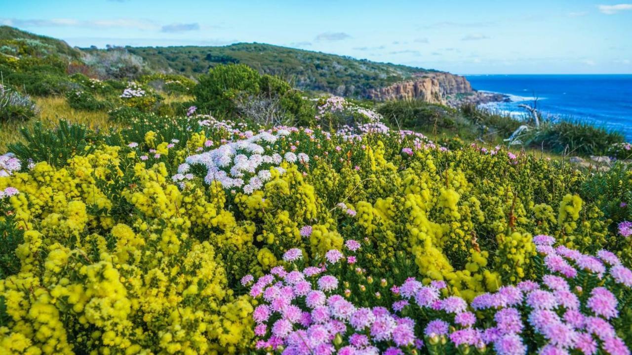 By The Sea Margaret River Gnarabup Ngoại thất bức ảnh